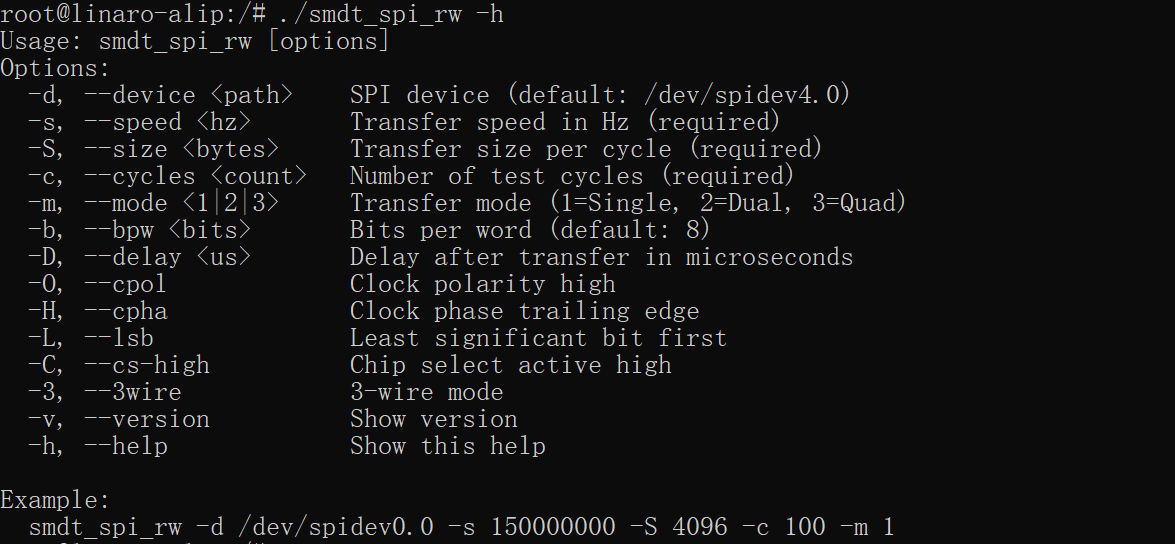 FPGA_FSPI_1