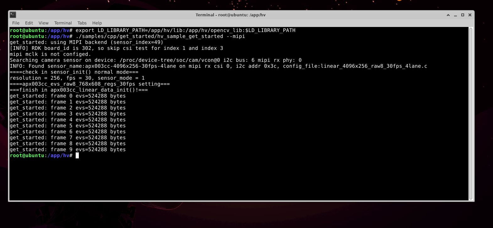 get_started 在 X5 上运行(--mipi)