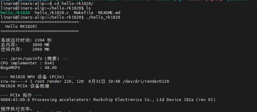 Hello RK1828 程序输出 — 内存/CPU/RK1828 PCIe 设备/拓扑
